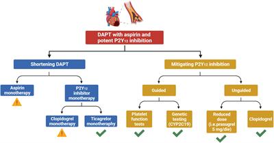 De-escalation of antiplatelet therapy in acute coronary syndromes: Why, how and when?